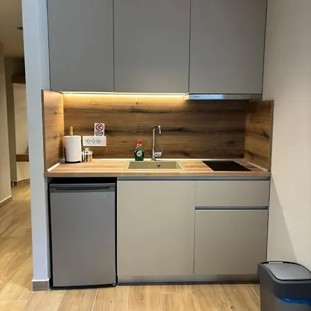 νεακιτοσ Luxury Apartman Nikíti